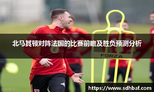 北马其顿对阵法国的比赛前瞻及胜负预测分析